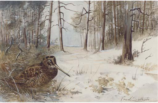 Frank Southgate - Woodcock In Winter