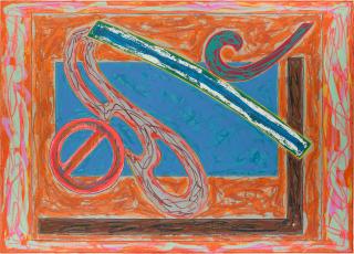 Frank Stella - Bonin Night Heron