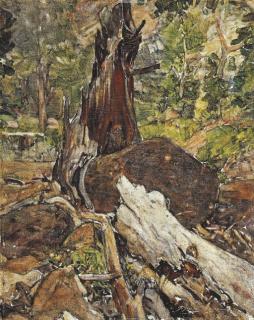 Frank Tenney Johnson - A Fallen Tree, Canyon Creek, Wyoming