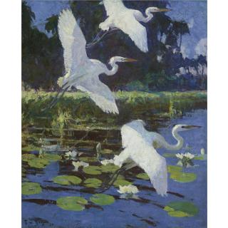 Frank W. Benson - Herons And Lilies