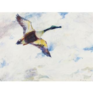 Frank Weston Benson - American Shoveller Drake In Flight