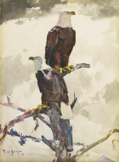 Frank Weston Benson - Bald Eagles Seated Against The Sky