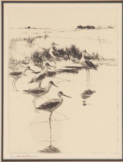 Frank Weston Benson - Birds: [two plates]