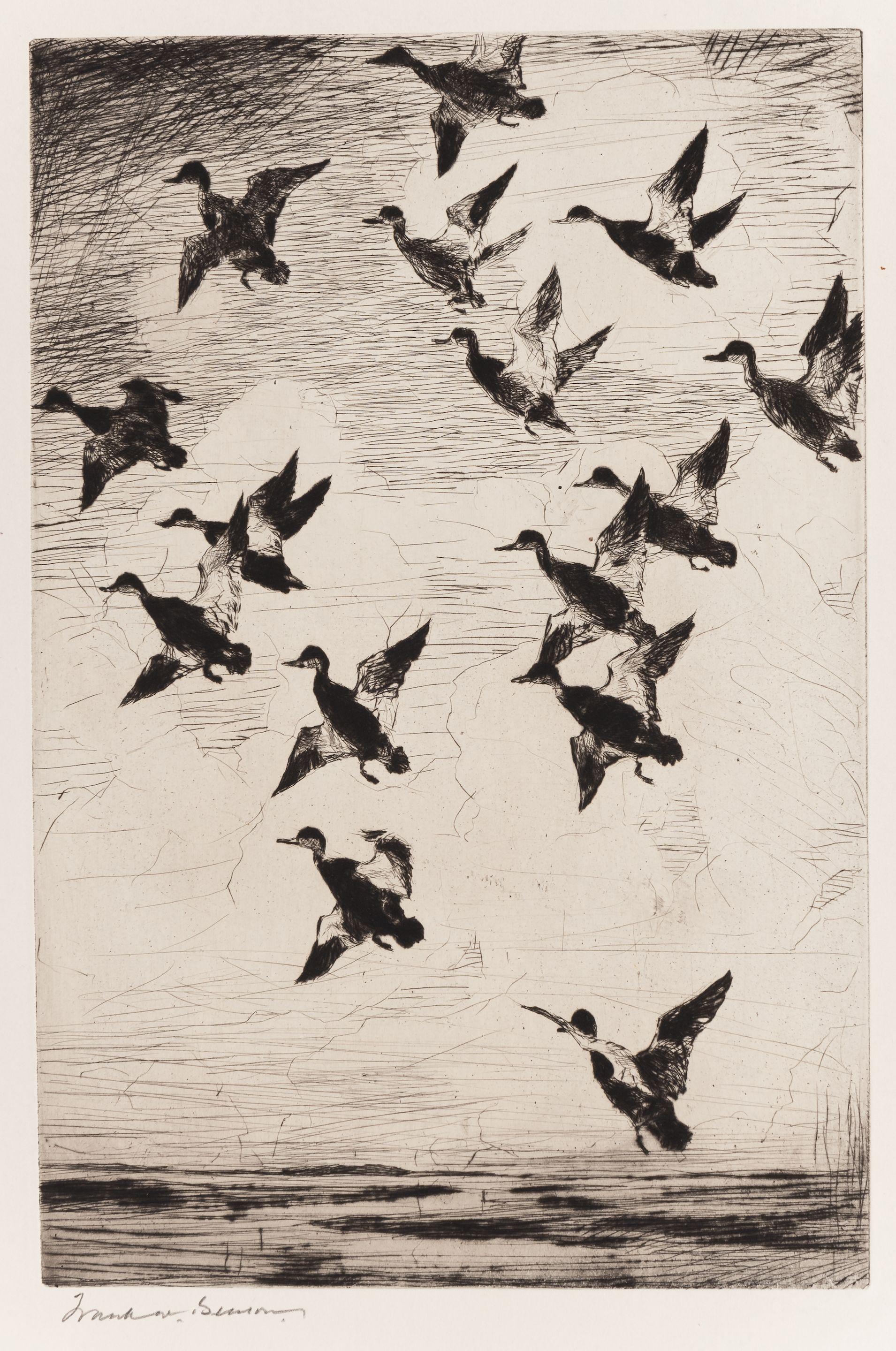 Frank Weston Benson - Black Ducks Towering