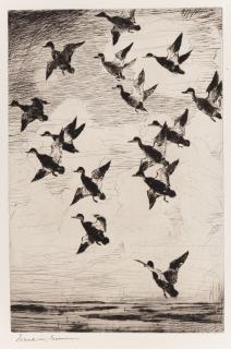 Frank Weston Benson - Black Ducks Towering