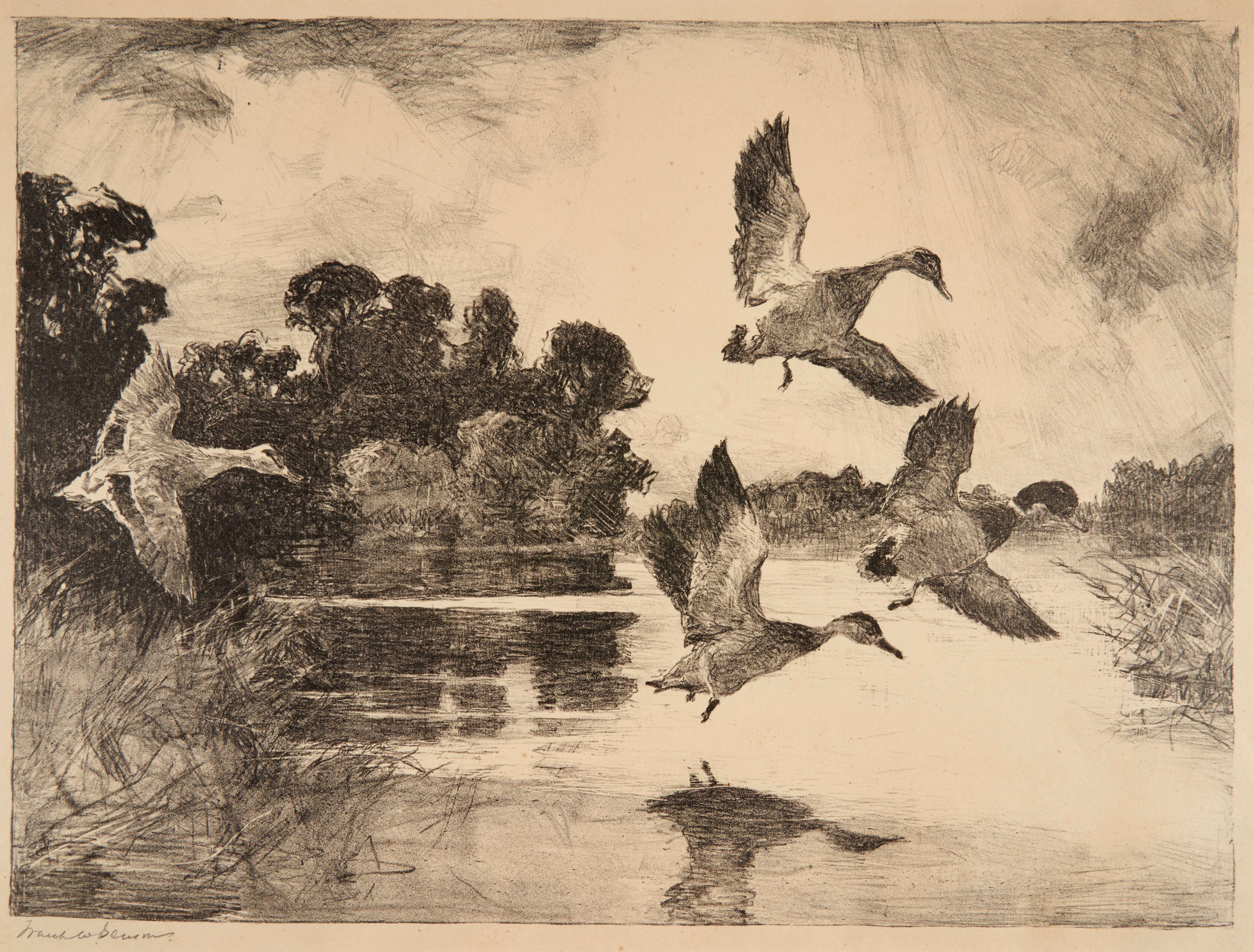 Frank Weston Benson - Four Mallards