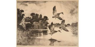 Frank Weston Benson - Four Mallards