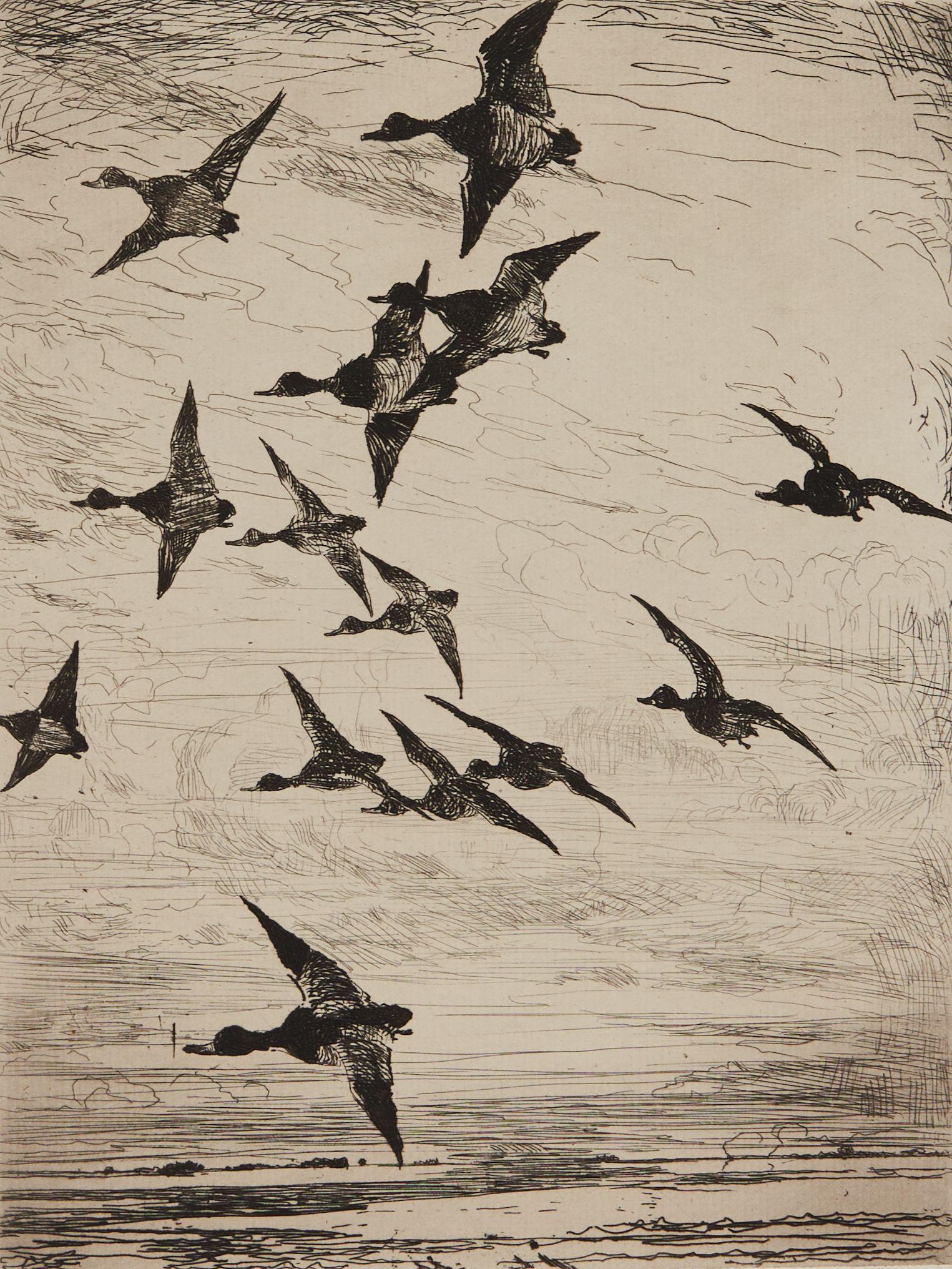 Frank Weston Benson - High Flying Ducks signed \'FrankWBenson.\' in pencil (lower left) 7 7/8 x 6 in.