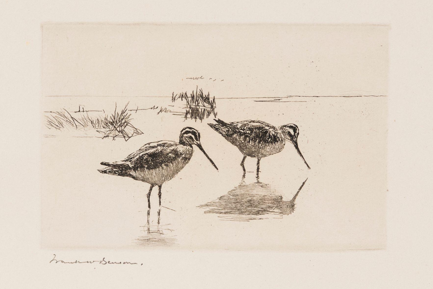 Frank Weston Benson - Pair of Snipe