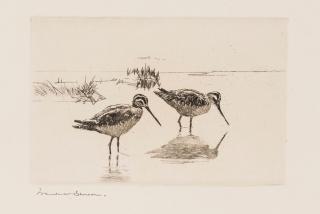 Frank Weston Benson - Pair of Snipe