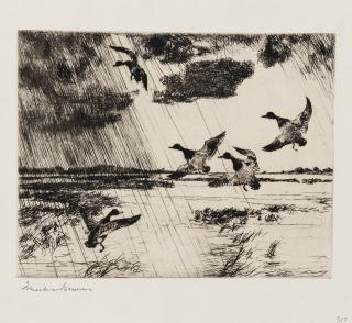 Frank Weston Benson - Rain Squall