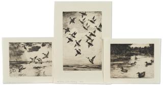 Frank Weston Benson - Three Waterfowl Prints, including: