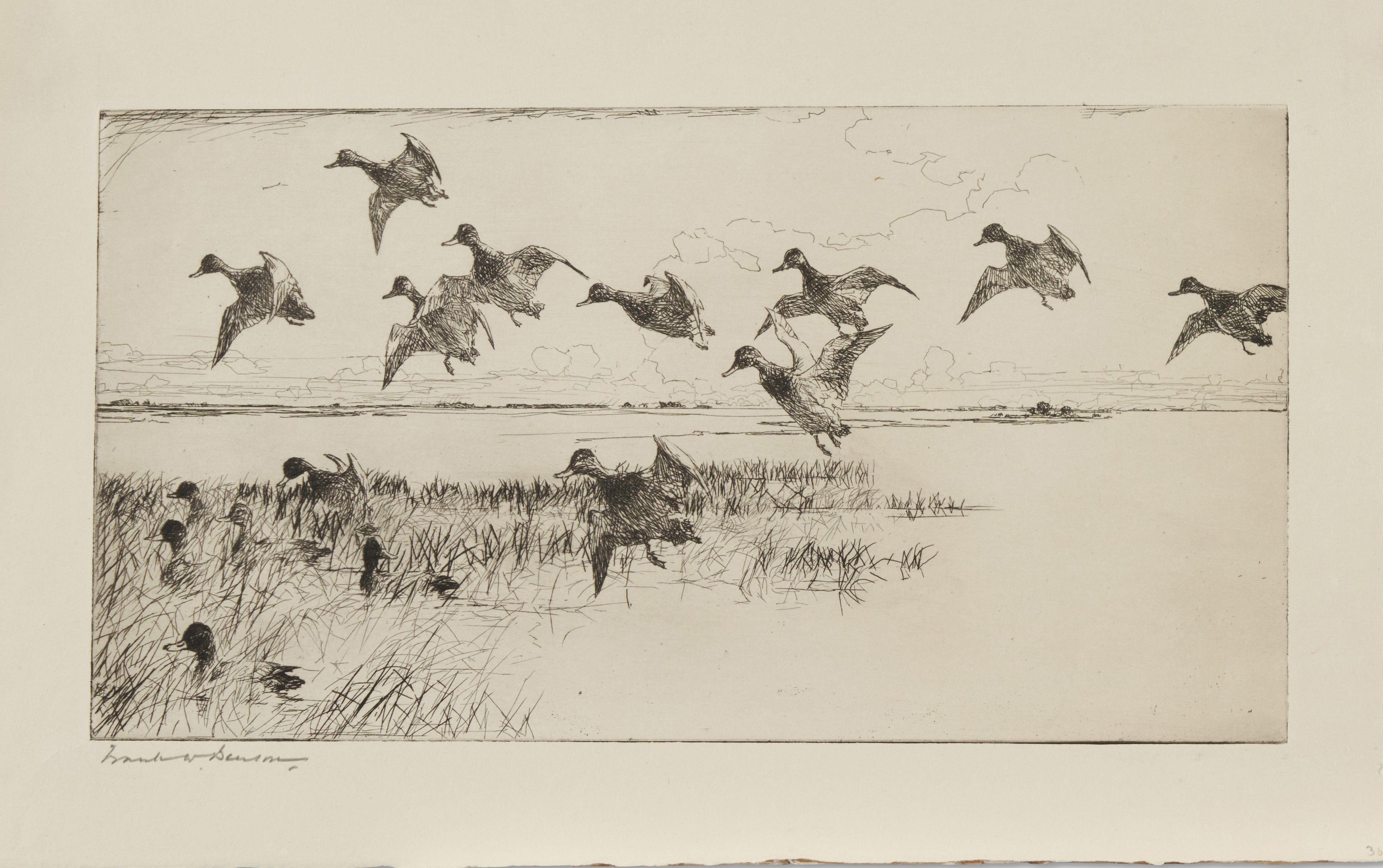 Frank Weston Benson - Three Waterfowl Prints