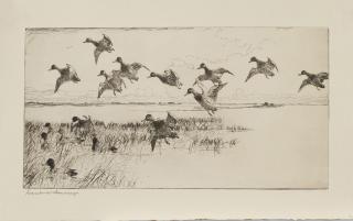 Frank Weston Benson - Three Waterfowl Prints