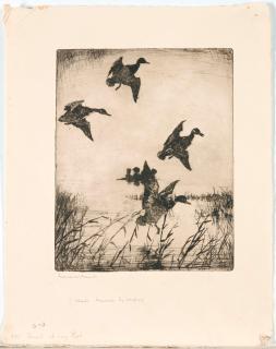 Frank Weston Benson - Three Waterfowl Prints