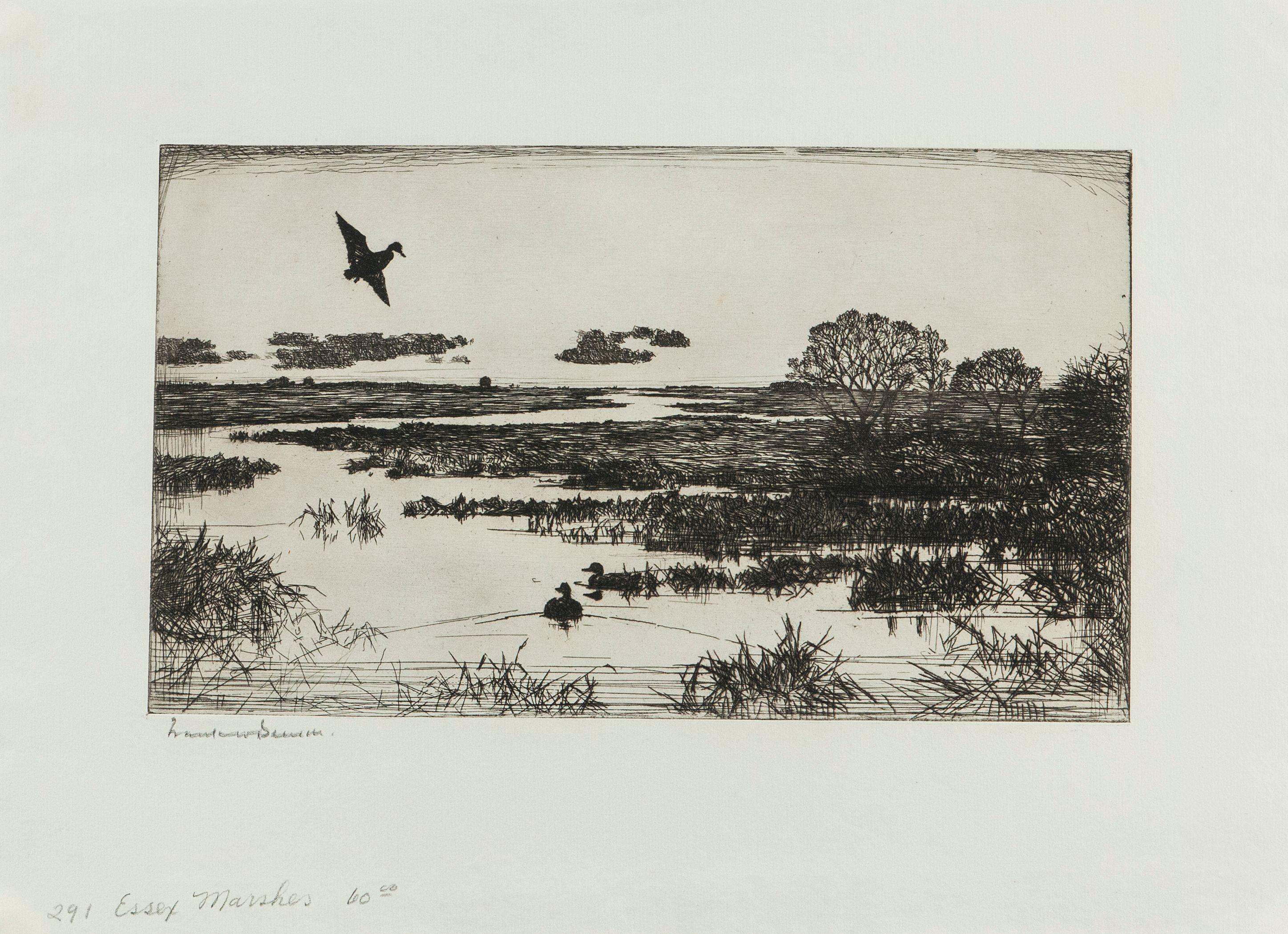 Frank Weston Benson - Two Waterfowl Prints, including: