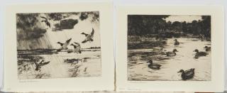 Frank Weston Benson - Two Waterfowl Prints