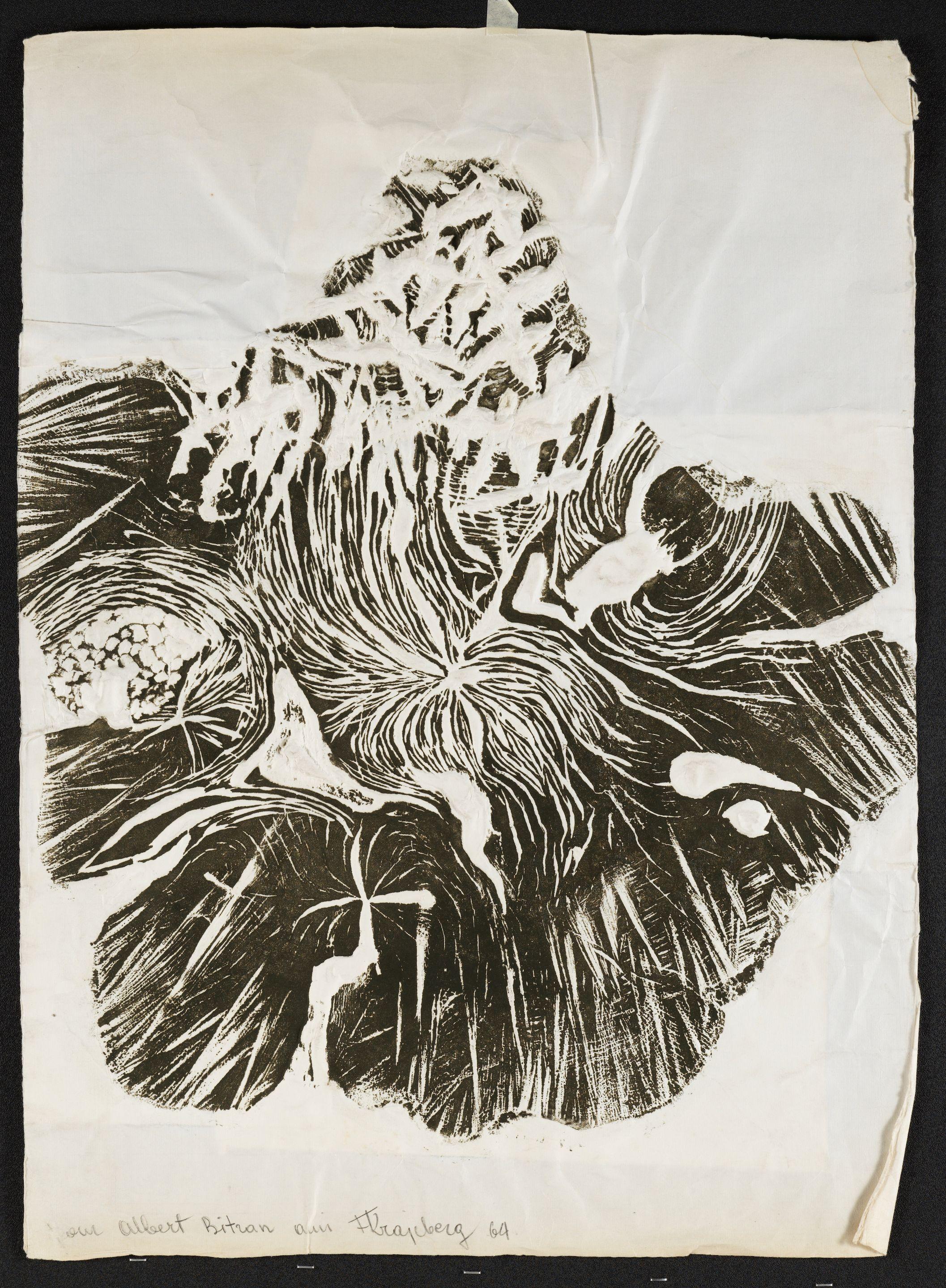 Frans Krajcberg - Sans Titre, 1964