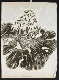 Frans Krajcberg - Sans Titre, 1964