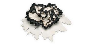 Frans Krajcberg - Sombra