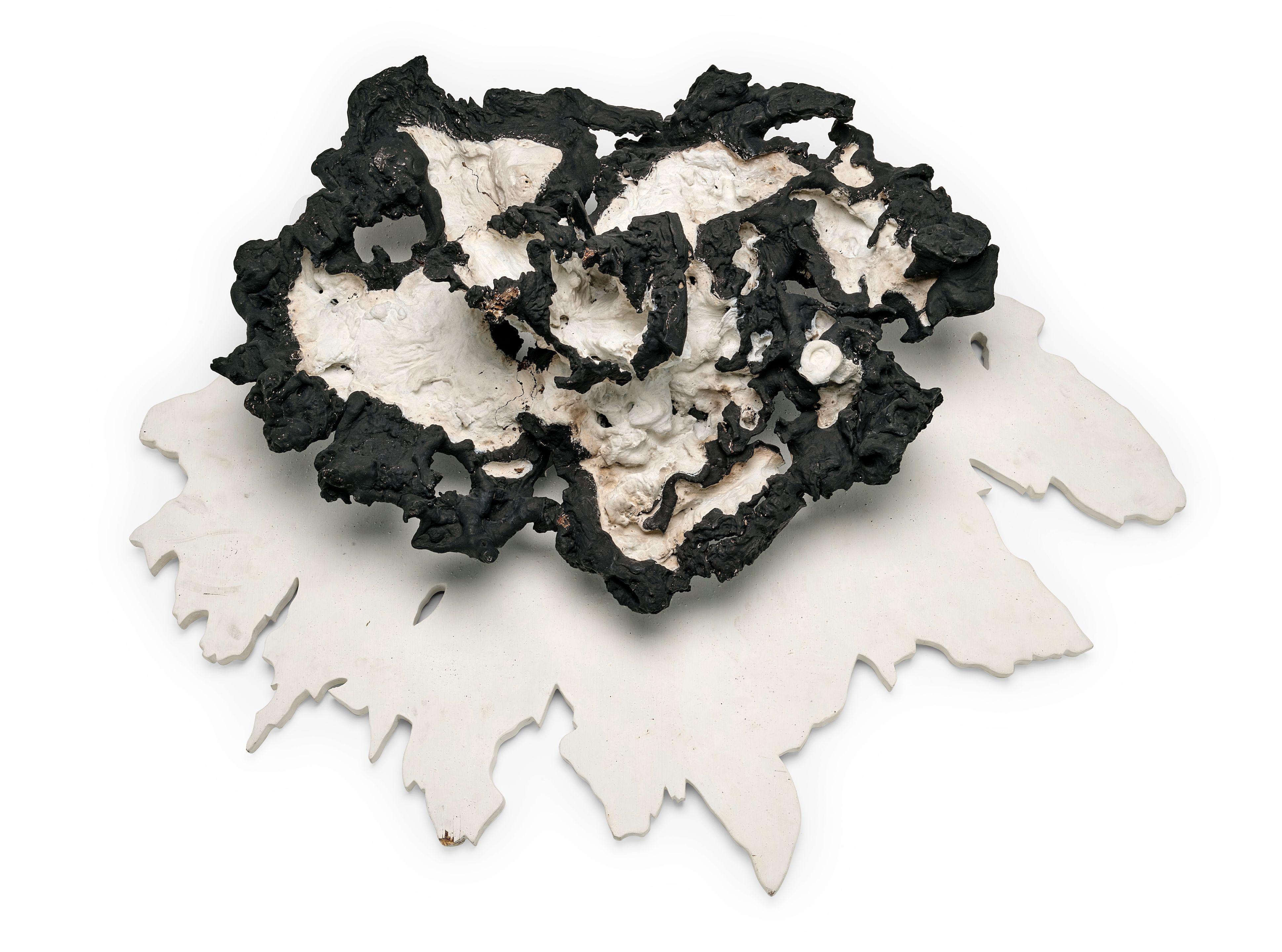 Frans Krajcberg - Sombra