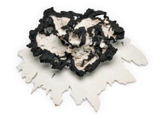 Frans Krajcberg - Sombra