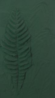 Frans Krajcberg - Untitled