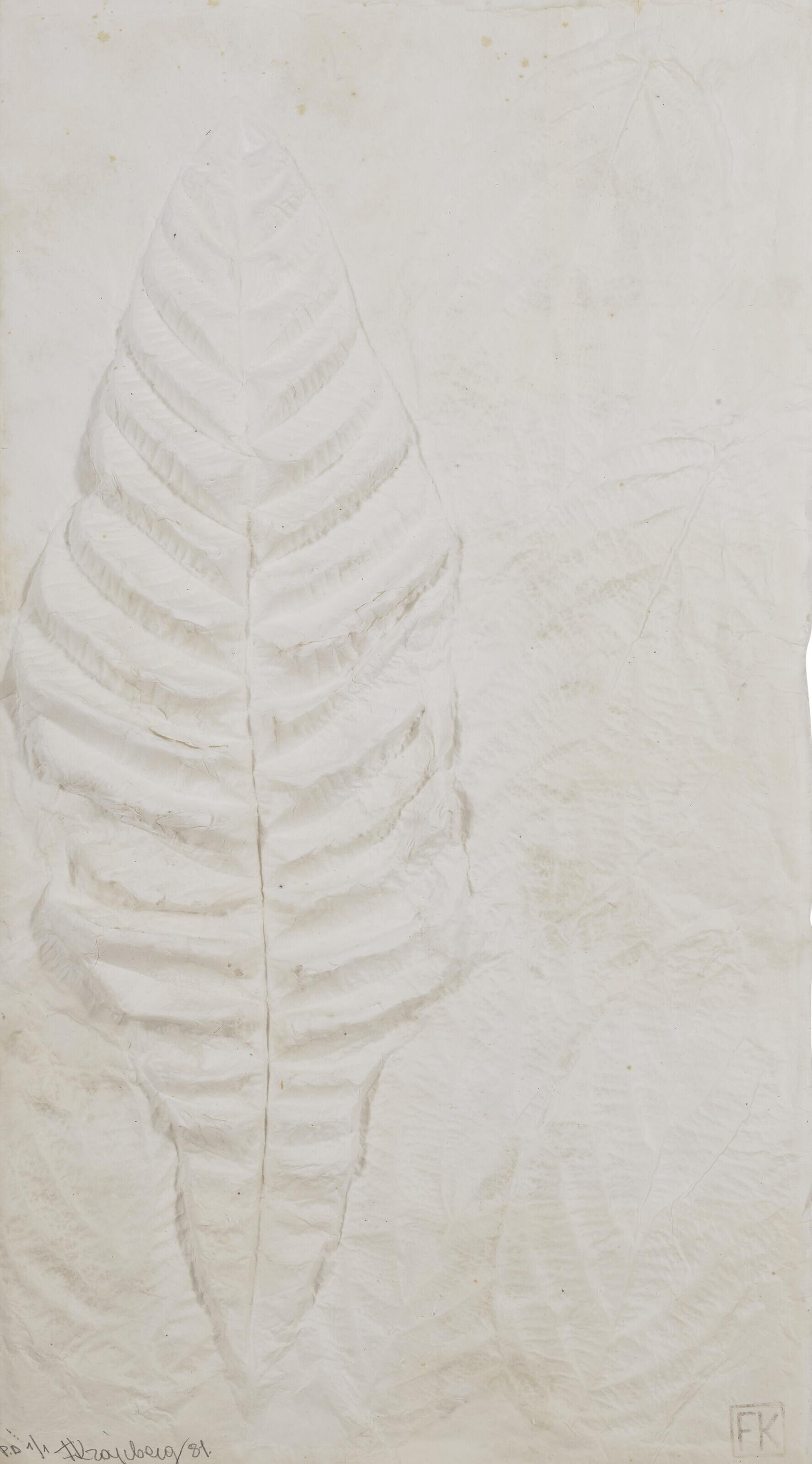 Frans Krajcberg - Untitled