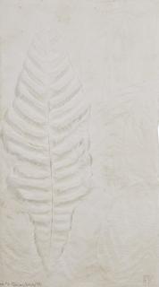 Frans Krajcberg - Untitled