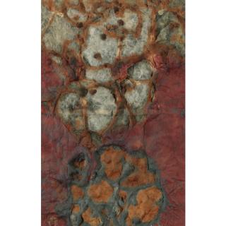 Frans Krajcberg - Untitled