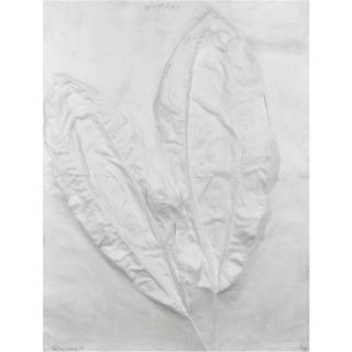 Frans Krajcberg - Untitled