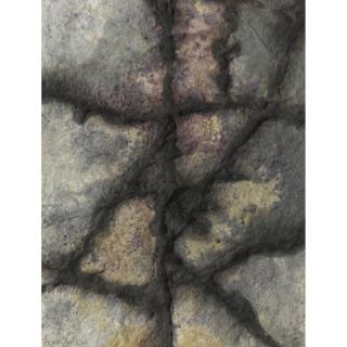 Frans Krajcberg - Untitled