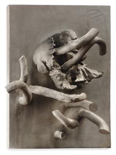 Frans Krajcberg - Untitled