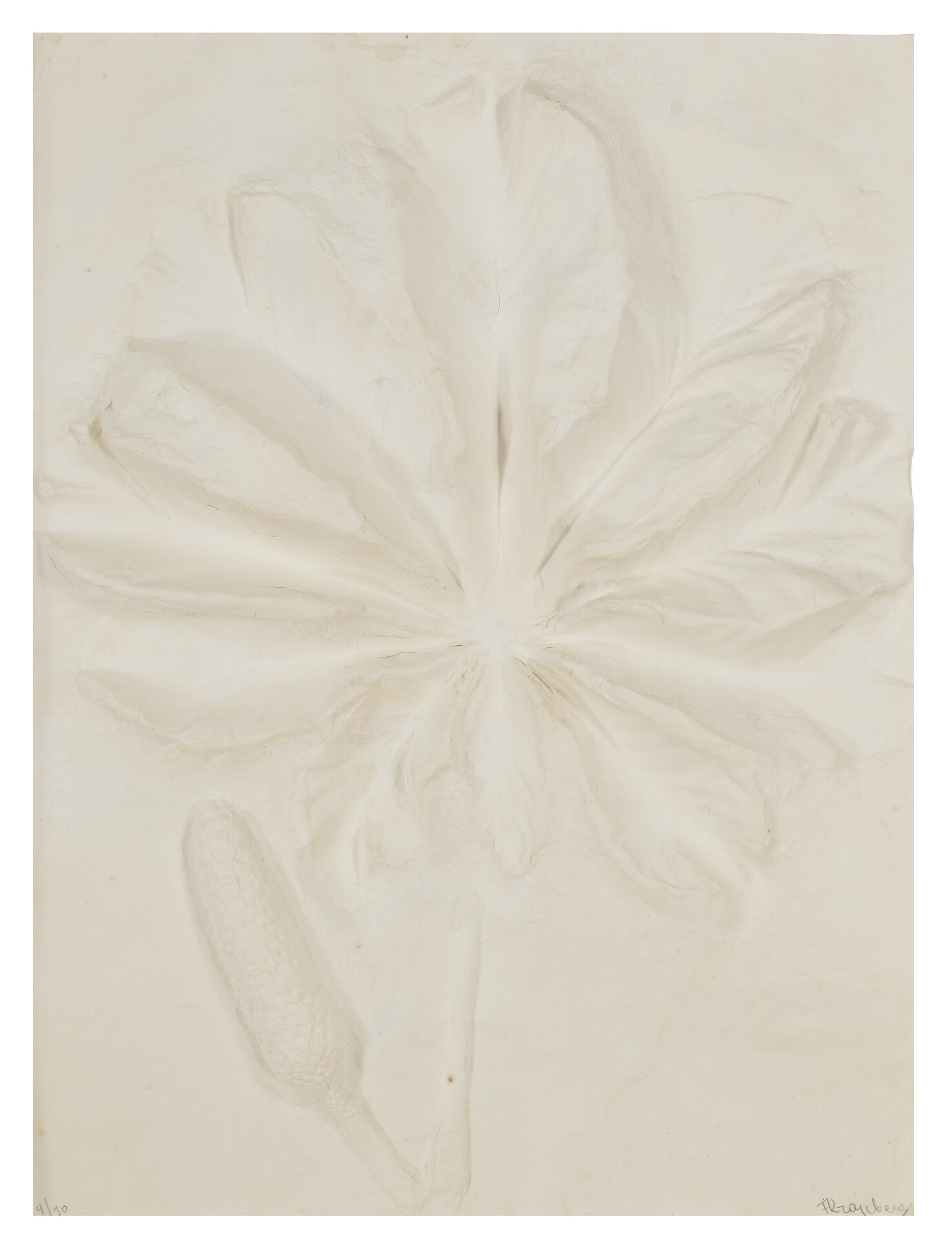 Frans Krajcberg - Untitled