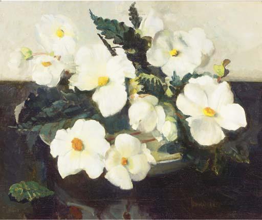 Frans Oerder - Begonia\'s