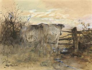 Frans Pieter Ter Meulen - Cattle at sunset