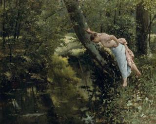 Frans Simons - A beautiful reflection