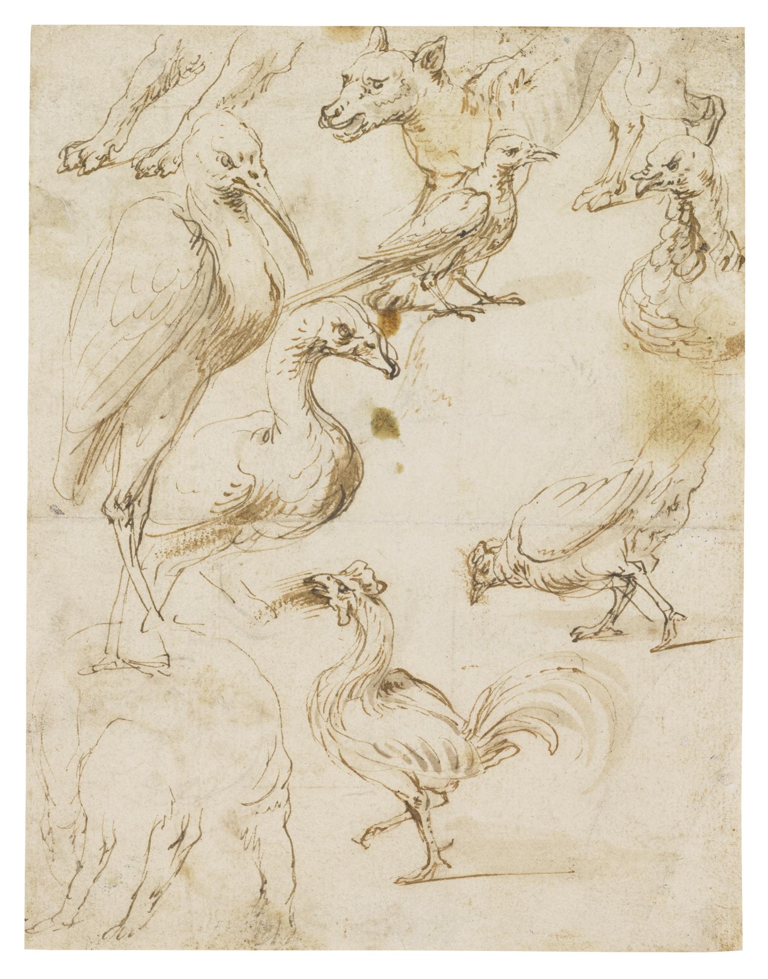 Frans Snyders - Double-Sided Sheet Of Studies Of Birds And Animals