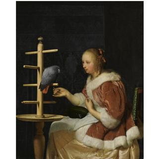 Frans van Mieris the Elder - A Young Woman In A Red Jacket Feeding A Parrot