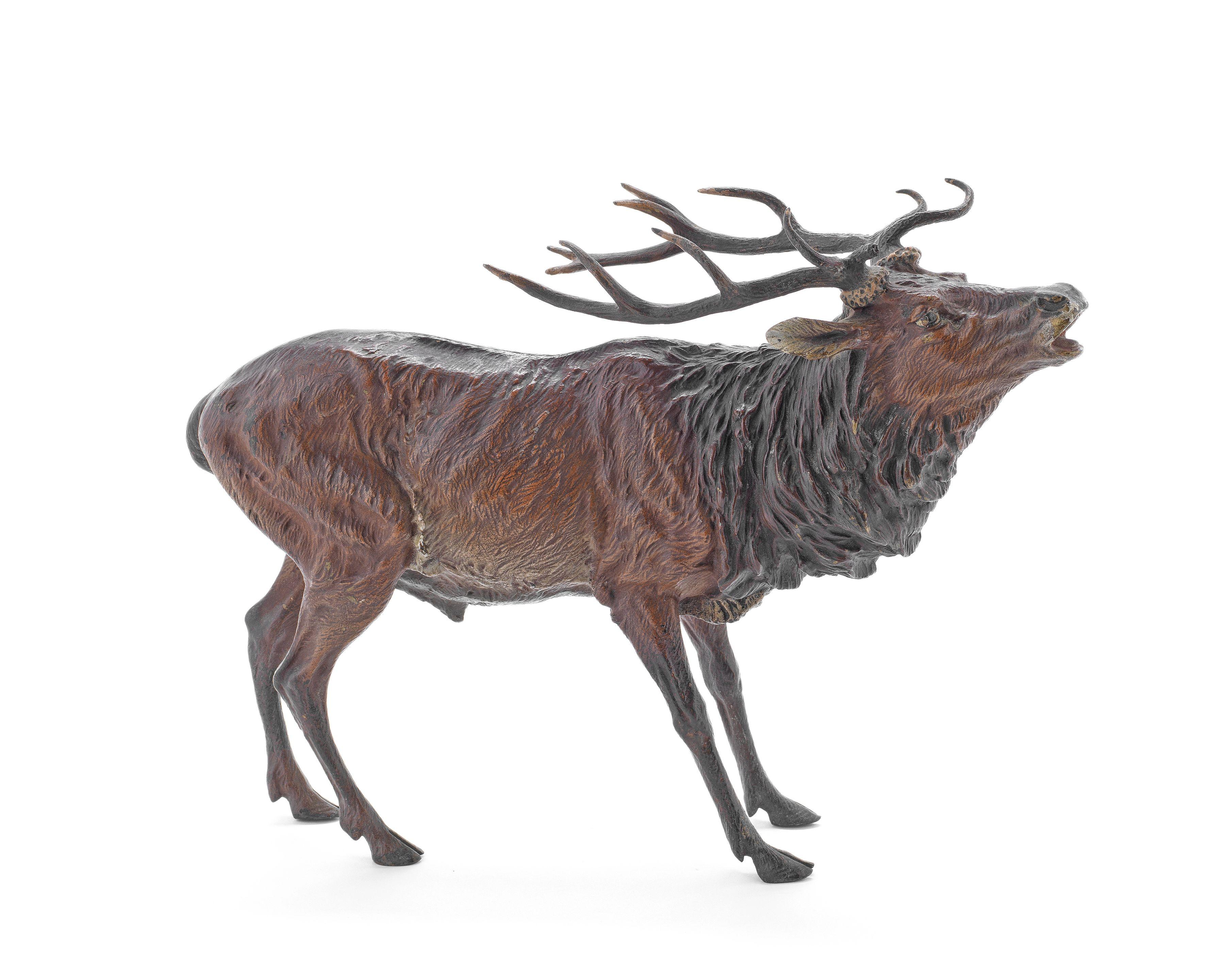 Franz Bergman - A Cold Painted Bronze Model Of A Stag