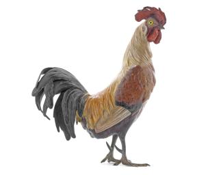 Franz Bergman - A cold painted model of a cockerel