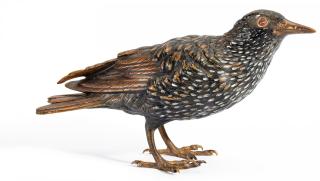 Franz Bergmann - Starenvogel