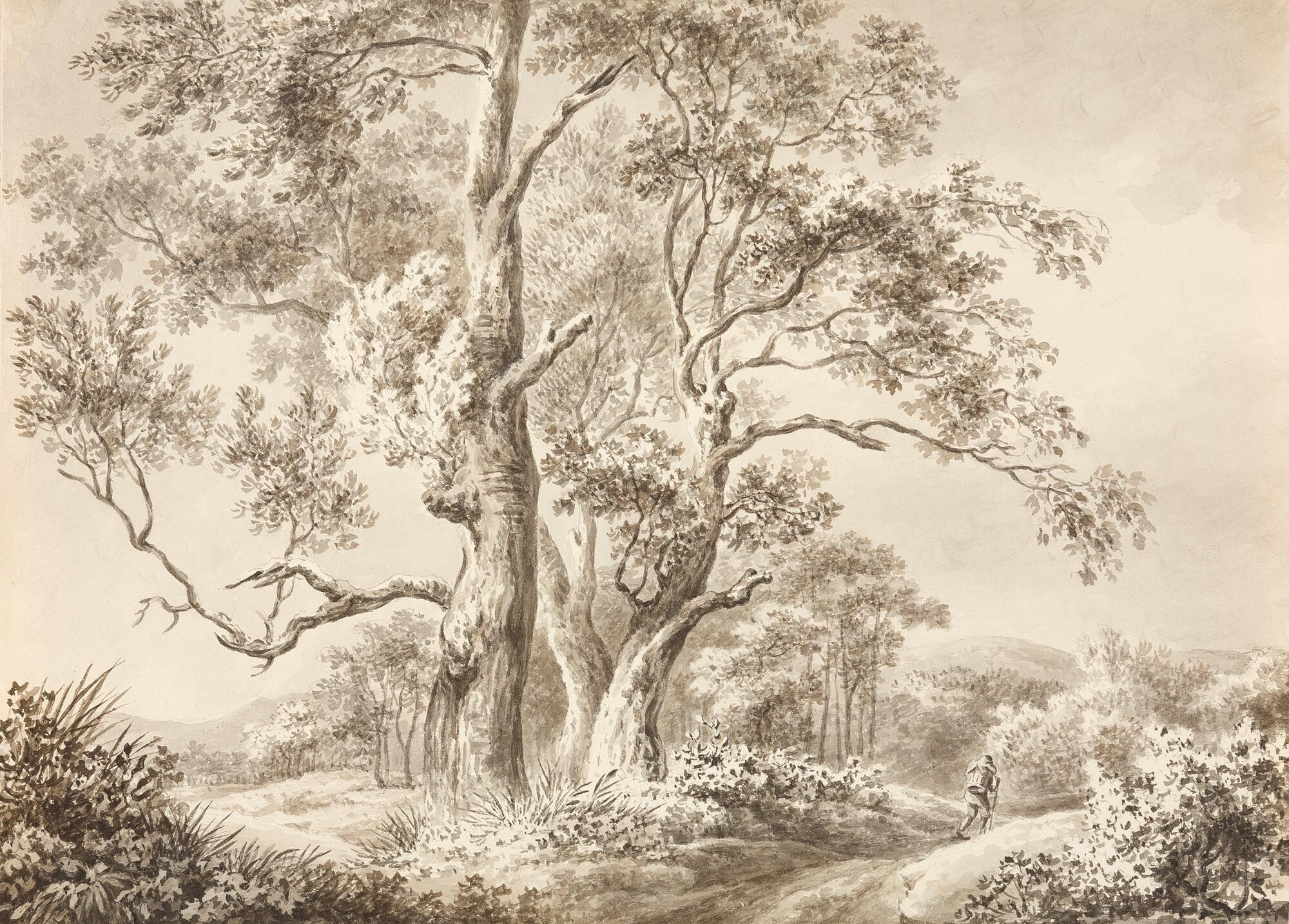 Franz Gabet - 4 Bll.: Landschaften (3) – Fischerhütte in den Donau-Auen.