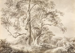 Franz Gabet - 4 Bll.: Landschaften (3) – Fischerhütte in den Donau-Auen.