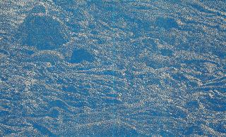 Franz Gertsch - Cima del Mar (Detail) (für Parkett 28).