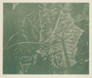 Franz Gertsch - Die Kunst liegt in der Natur. Wer sie herausreissen kann, der hat sie