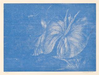 Franz Gertsch - Teichrosenblatt