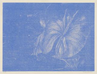 Franz Gertsch - Teichrosenblatt