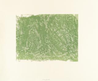 Franz Gertsch - Waldweg ‚Ausblick‘ (Detail 1, 2006)