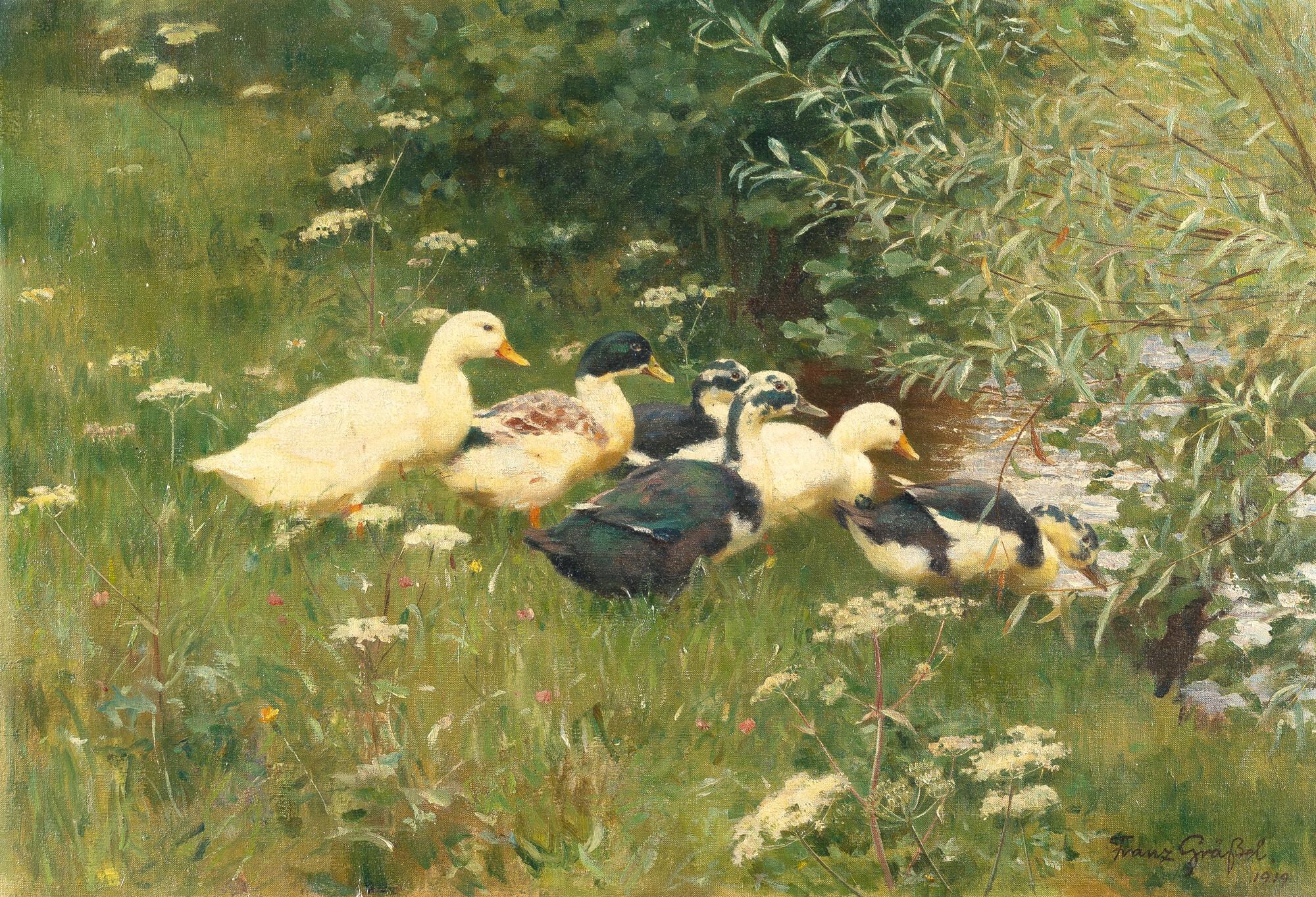 Franz Gräßel - Sechs Enten am Ufer